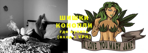альфа пвп Новодвинск