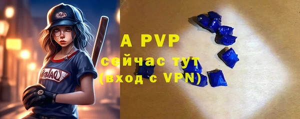 стаф Балахна