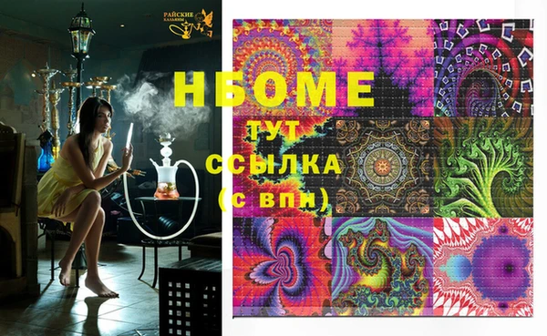 гашик Новозыбков