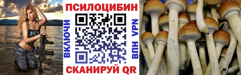 магазин  наркотиков  Калининец  Псилоцибиновые грибы мухоморы 