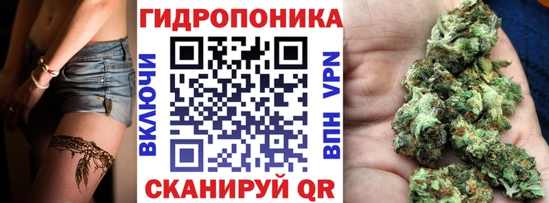 где можно купить Калининец МАРИХУАНА OG Kush